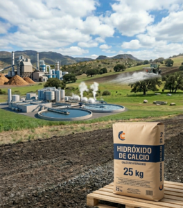 saco de 25 con industrias